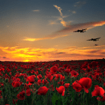 Honoring Veterans: Embracing Their Sacrifice, Cherishing Our Freedom